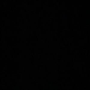 Meet your Posher, Brooklyn